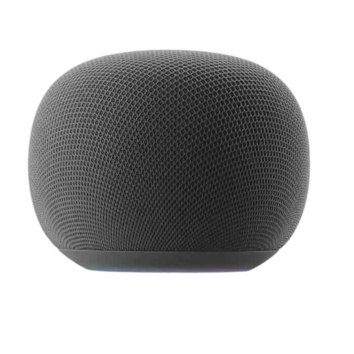Google Home Grey