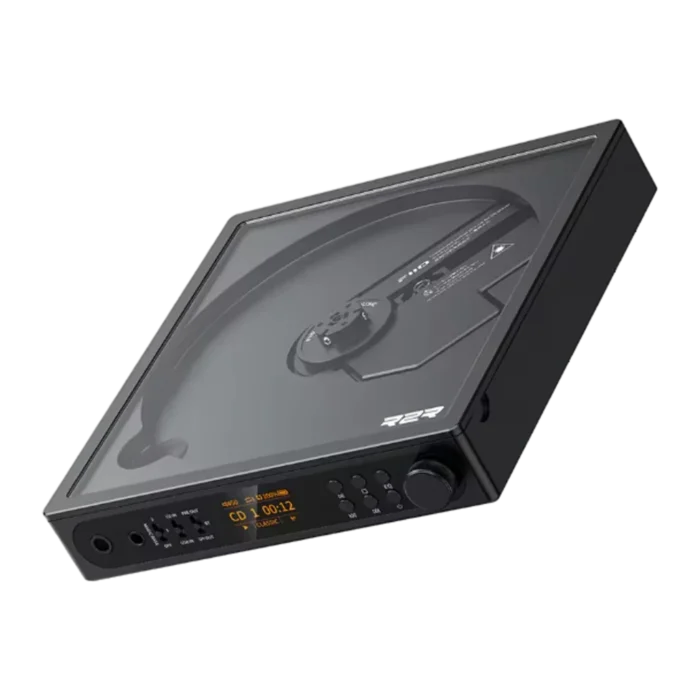 FiiO DM15 R2R Negro