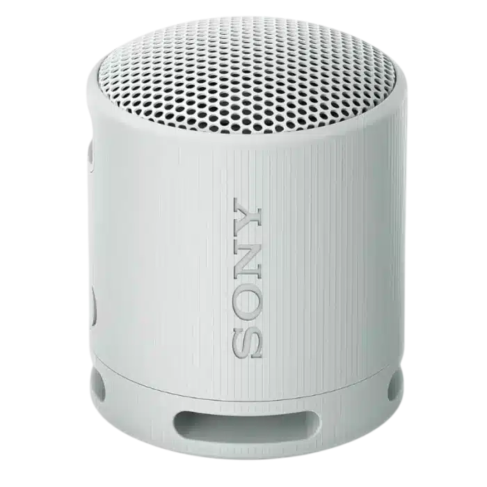Sony SRS-XB100 Gris