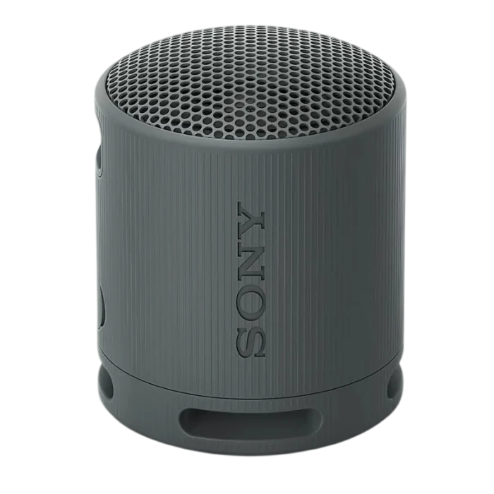 Sony SRS-XB100 Negro